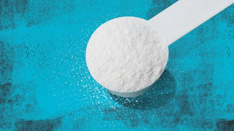 Top Sources of Creatine for Performance and Strength