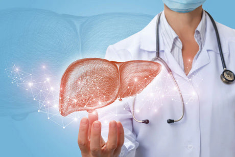 The Benefits of TUDCA for Liver Function and Beyond