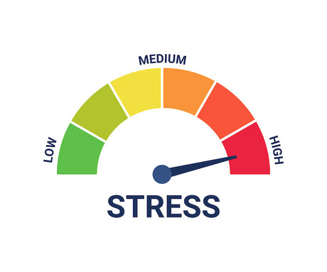 The Role of Cortisol in Athletic Performance