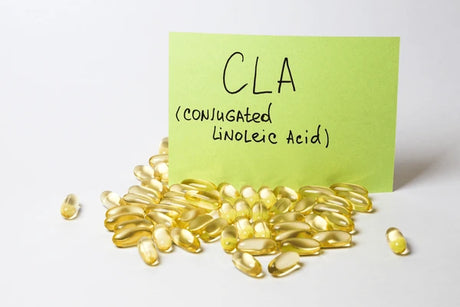 Why CLA Should Be Your Next Fitness Supplement