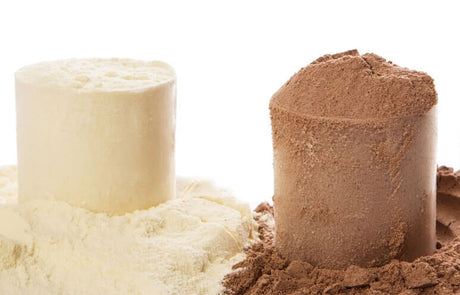 Whey Protein Concentrate vs. Whey Protein Isolate: What You Need to Know